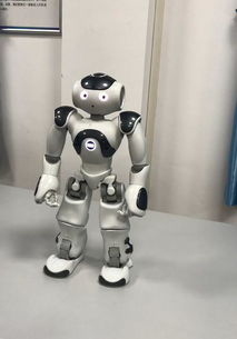 智慧赋能新形态 武汉高校学子引领深度学习机器人创新风潮